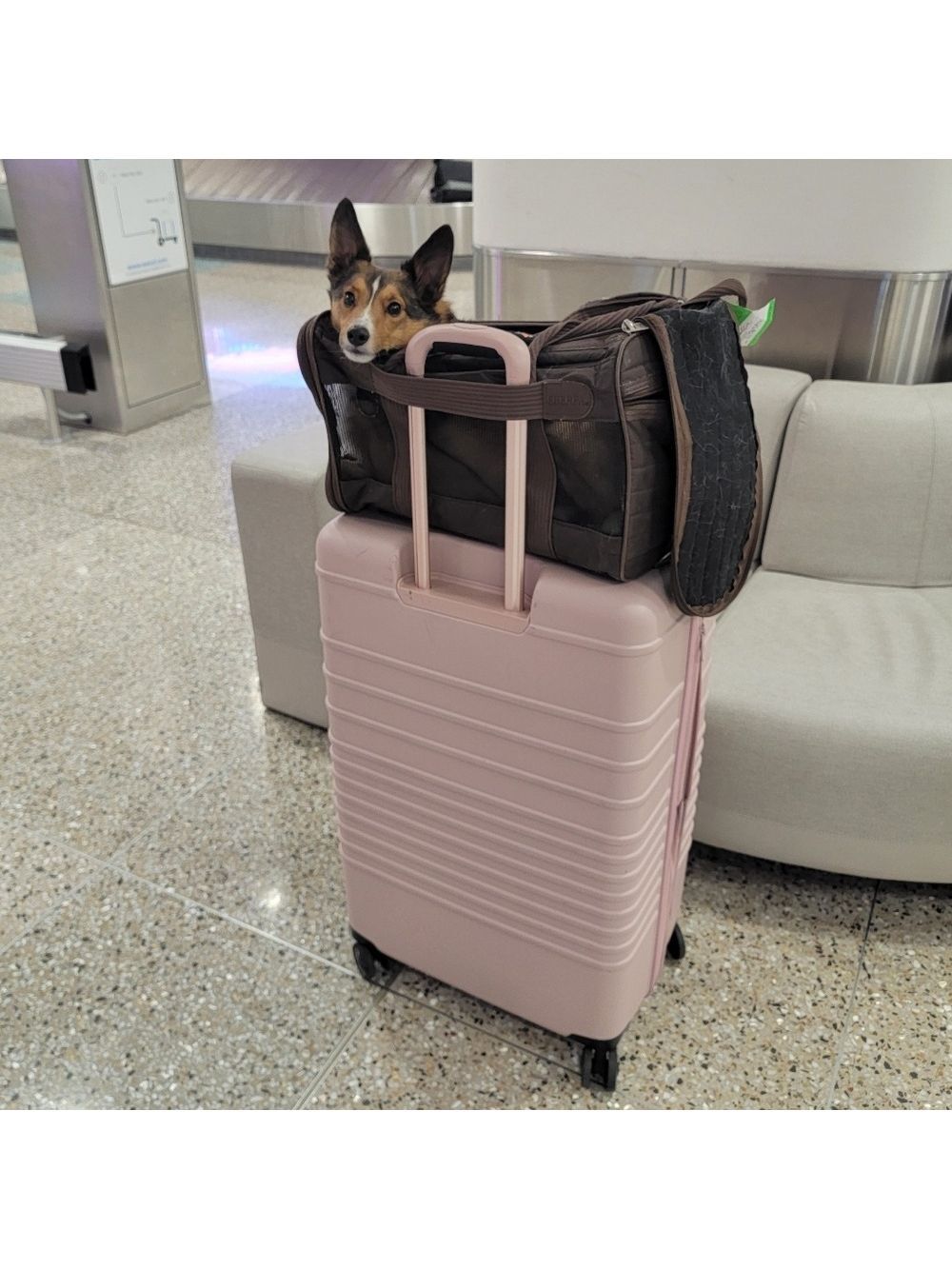 Sherpa Original Deluxe Medium Pet Carrier